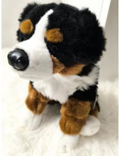Bouvier bernois, assis - 25 cm - 